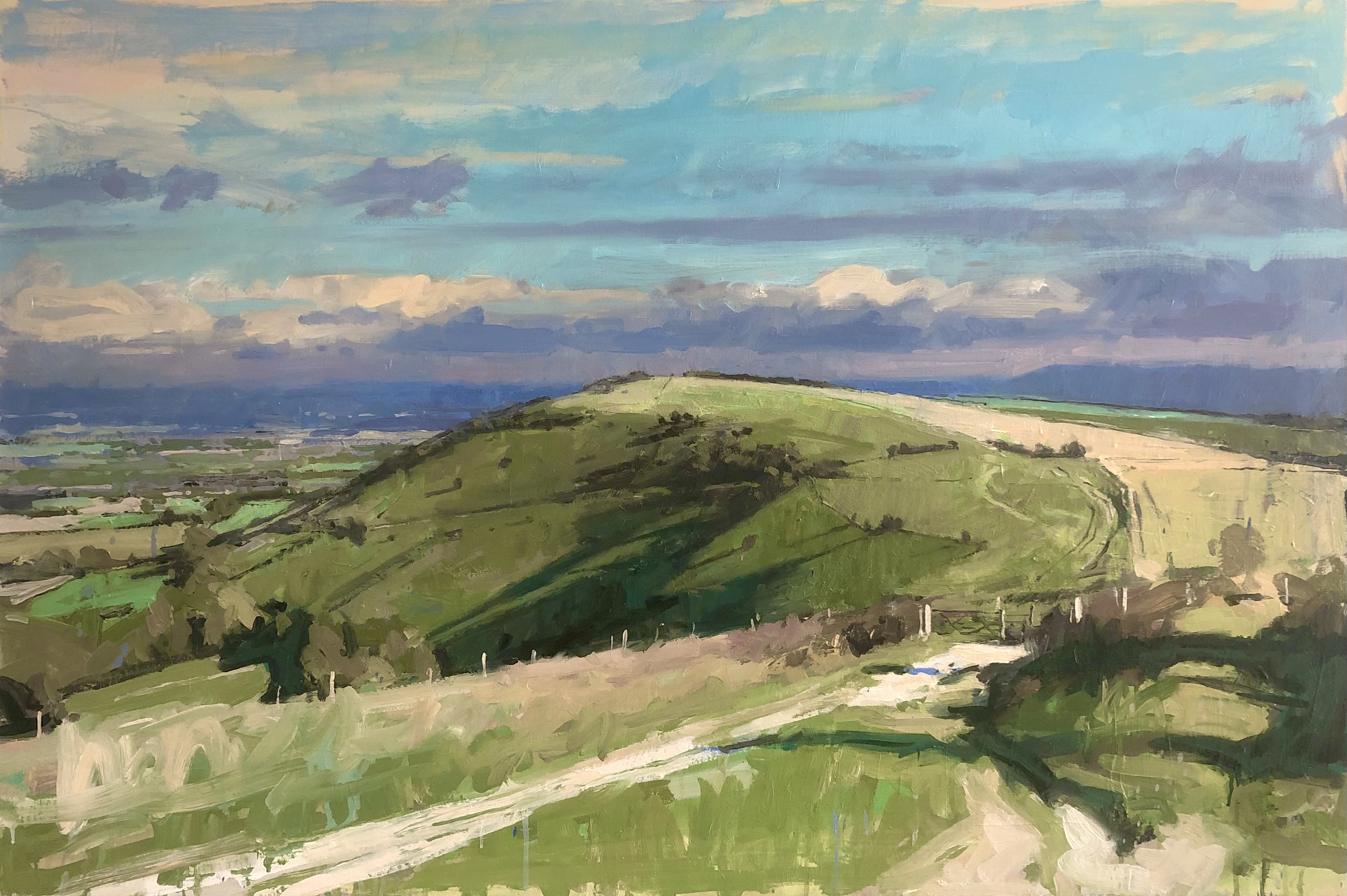 South Downs path, 2025